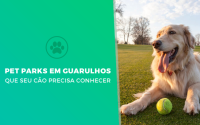 Pet Parks que seu cão precisa conhecer